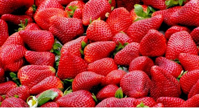 Клубника растёт как сумасшедшая ну очень много! Обрабатываю кусты этим средством!