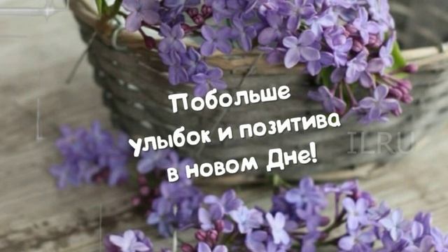 Добрый День! ?Желаю тебе чудесного, волшебного, невероятно позитивного дня