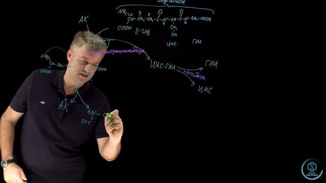 SmartБиохимия - Марафон - День 3. Гамма-глутаминный цикл