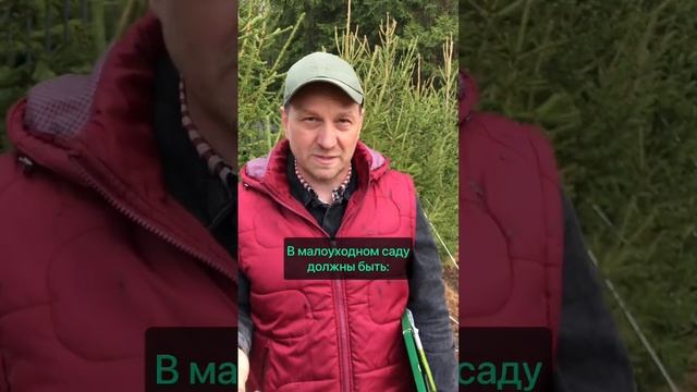 Что такое малоуходный сад? #ландшафтныйдизайн #ландшафтныйдизайнер #ландшафтныйпроект #StudioLand