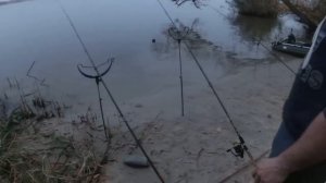 Рыбалка на острове. Елизаветинская. Отличный отдых и рыбалка с ночевкой. Бешенный клев рыбца