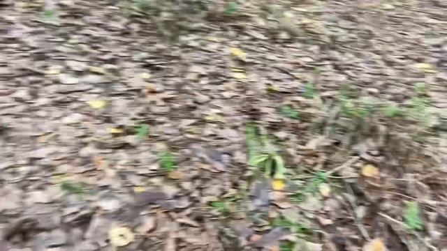 Ростов-на-Дону заброшенный дворец спорта смотреть онлайн