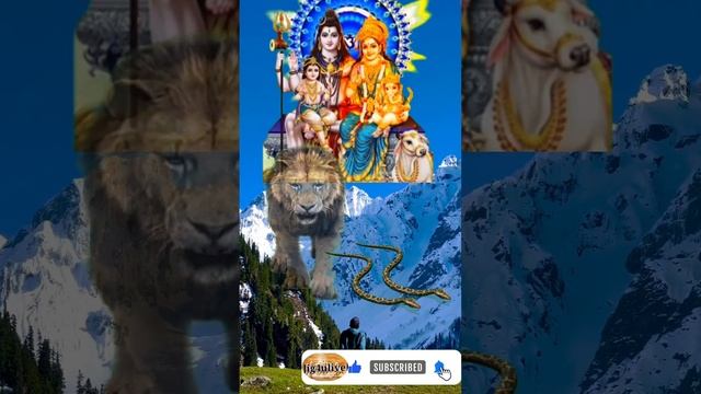 ☀️Bholenath ✔️Shankar Parvati ☀️|| #viral #shorts ☀️???☀️?✨️??