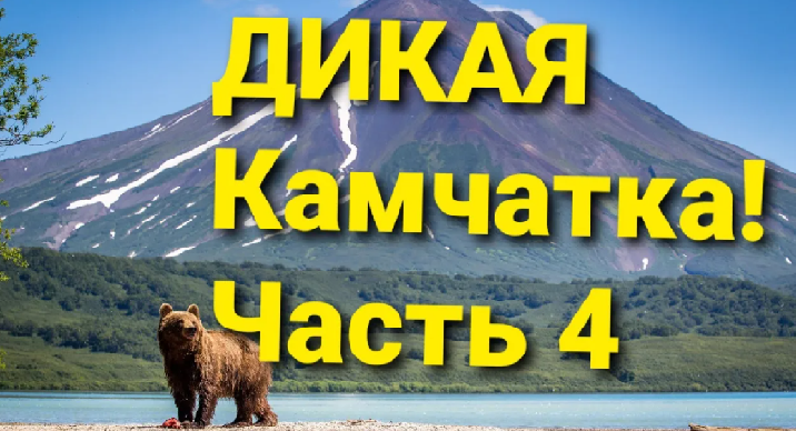 ДИКАЯ КАМЧАТКА! СМЕЛАЯ ЛИСА, КОВАРНЫЙ ОКЕАН И ЗЛОЙ МЕДВЕДЬ...