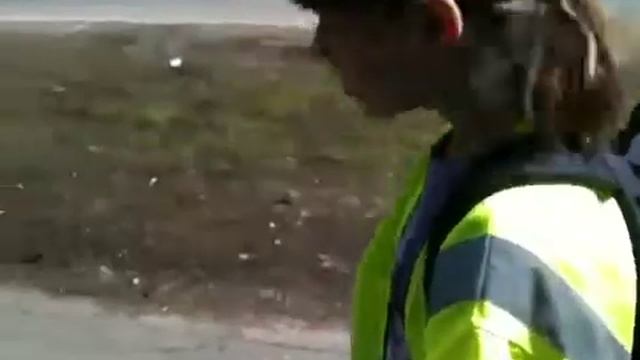 Ролики смотреть онлайн