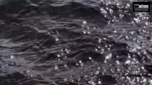 С днем реки Амга!