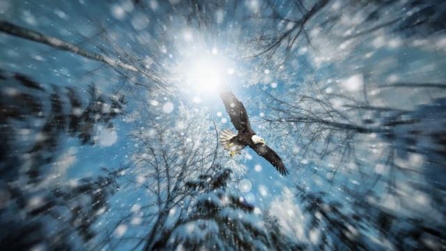 Псалом 101_Я питье мое растворяю слезами смотреть онлайн