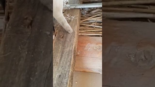 Утепление тростником. Трудоёмко, зато экологично. смотреть онлайн