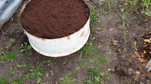 Как сделать клумбу из Бочки!