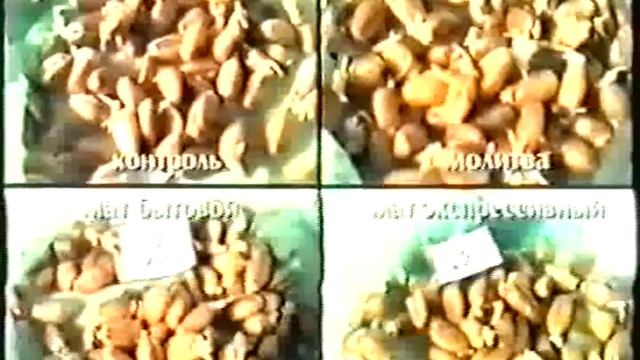 Русский мат. Значение и влияние на человека. смотреть онлайн