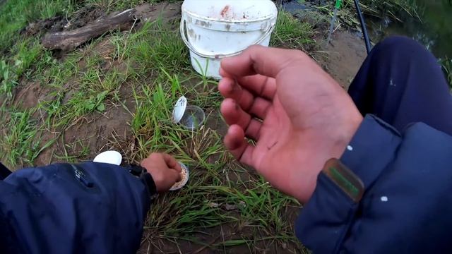 НАРВАЛСЯ НА СТАЮ КРУПНОГО ГОЛАВЛЯ | ТРОФЕЙНЫЙ ГОЛАВЛЬ РЫБАЛКА 2020 Рыбалка на ФИДЕР ДОНКУ смотреть онлайн