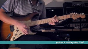 Fender American Deluxe Stratocaster: Ash vs. Alder