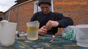1 апреля - Самодельные пластины от клеща варроа на основе эфирных масел и амитраза.