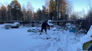 Экстремальная зимовка пчёл на севере.