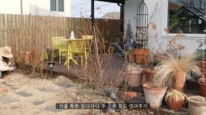 부릉부릉 올해의 첫가드닝 🌿 2,3월에 꼭 해야 하는 필수 가드닝 목수국 가지치기/비료주기/유황농약 뿌리기/코니도로 진딧물 예방하기/그라스 자르기