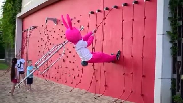 Розовый кролик в Краснодаре!! смотреть онлайн