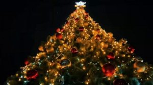 Новогодний карнавал.