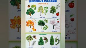 Познавательно! Для #детей 5-7 лет #обучение_#занятие по #подготовке к #школе.