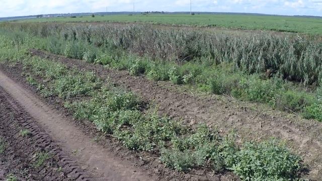 Охота на Утку с подхода 2021г. смотреть онлайн