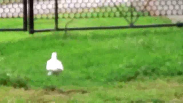 АСМР от Марии ♥ Спокойной ночи ♥ Добро и позитив ♥ смотреть онлайн