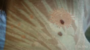 ЗАЧЕМ ЛЮДЯМ РОДИНКИ