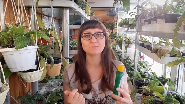 Часть 1.Правильно удобряем комнатные растения. смотреть онлайн