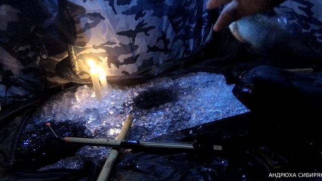 РЫБАЛКА НА  Карася в Благодатке!!!!КОТОРАЯ БЫВАЕТ РАЗ В ГОД!#опасныйлед#рыбалканакарася#fish#