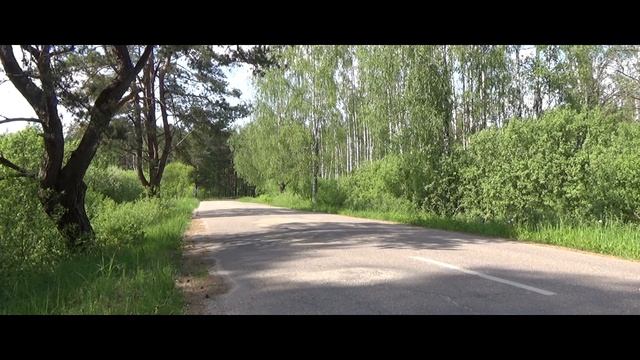 Тест звука: Fuel Exhausts - Slash на Yamaha FZS 600