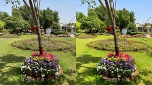 Sony Xperia 1 III vs Sony Xperia 5 III Camera Test | Xperia 1 Mark 3
