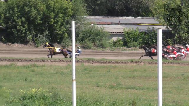 9.08.2020г. Барнаул Кубок губернатора Алтайского края рысистых  стар. возраста 1600м (1ГИТ)