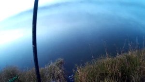 Первая рыбалка на Вазузе