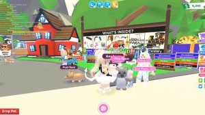 КАК ЗАТРЕЙДИТЬ ОБЫЧНОГО ПЕТА НА ЛЕГУ в АДОПТ МИ? Roblox Adopt Me