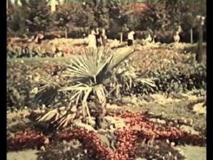 Тамбов  кинохроника 1954 года