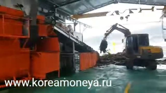 Обработка морской капусты смотреть онлайн