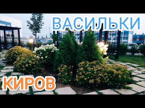 август 2022 г. Прогулка. #Васильки#киров.mp4