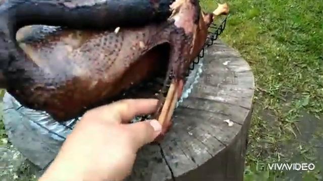 Копчёный гусь на День рождения!