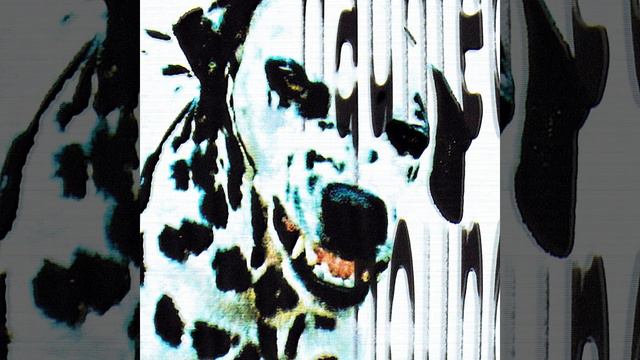 wasting in this vessel смотреть онлайн