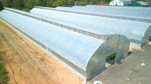 Теплицы ХОЗАГРО