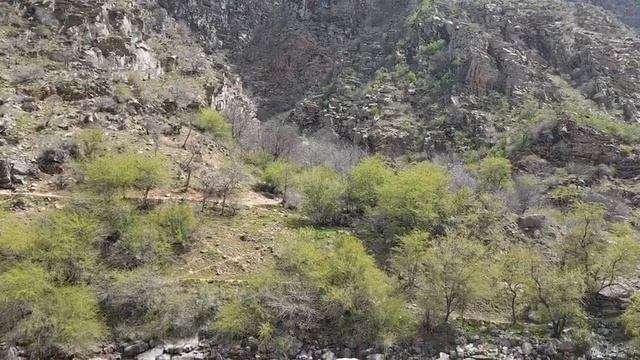 #ПРИРОДА#ТАДЖИКИСТАН#РЕКА#КОФАРНИХОН#РОМИТ смотреть онлайн