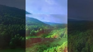 Белинда «Похороните меня за плинтусом»