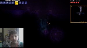 как получить огнестрельное оружие в террарии