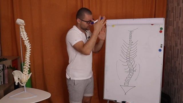 СКОЛИОЗ. 3 шага в работе со сколиозом. Занимаемся дома