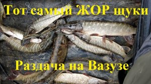 Осеннее "Эльдорадо"