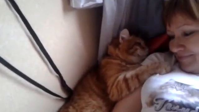 Релакс в поезде смотреть онлайн