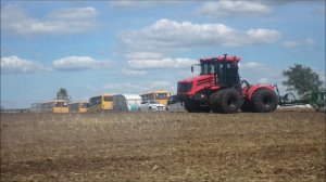 Съёмка сюжета ГТРК Калининград Кировец К 525 Пр