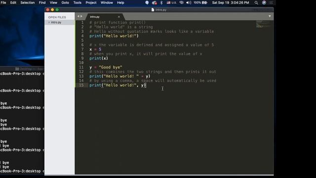 AP Computer Science Principles (Day 2): Python Data Types, Variables, Input