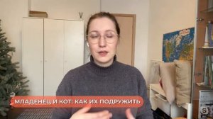 Кошачья логика: как подготовить питомца к появлению ребенка в семье