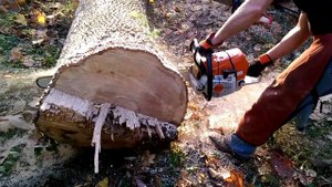 Stihl MS 661