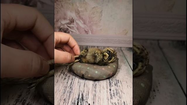 Птенец крапивницы