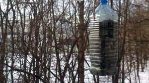 Кормушка только для синичек своими руками